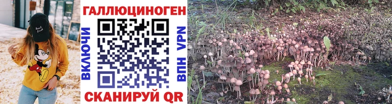 Псилоцибиновые грибы мухоморы  Купить закладки  Ершов 